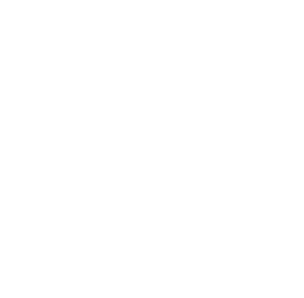Happy Belly Tours